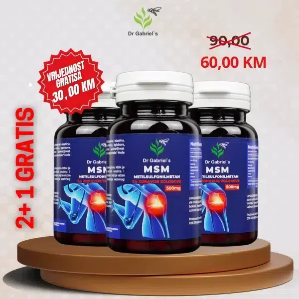 2+1 MSM Dr Gabriels