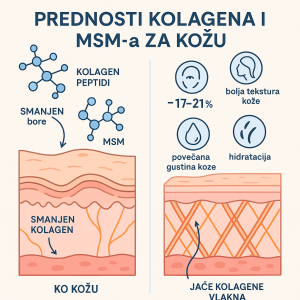 Infografika pokazuje kako kolagen i MSM djeluju na kožu i smanjuju bore nakon 12 sedmica