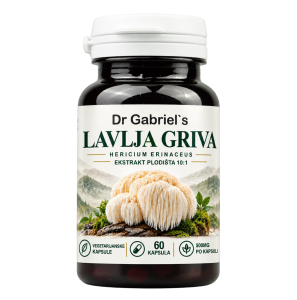 Lavlja griva Dr. Gabriel's — kapsule 500 mg, ekstrakt plodišta 10:1, 60 komada